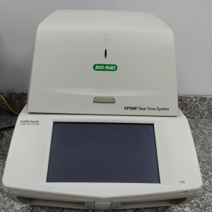 Real-Time PCR