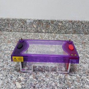 PCR Analizi